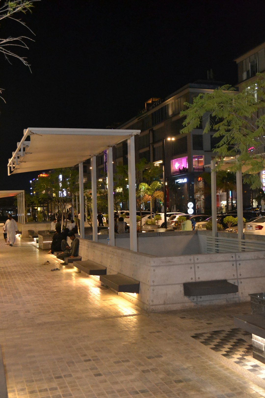 Cultural District Revitalization