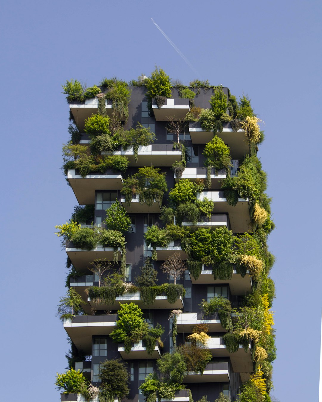 Sustainability Consulting